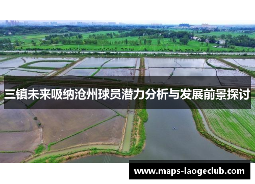 三镇未来吸纳沧州球员潜力分析与发展前景探讨