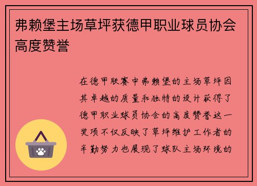 弗赖堡主场草坪获德甲职业球员协会高度赞誉 弗赖堡主场草坪获德甲职业球员协会高度赞誉